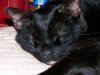 100_0029.jpg