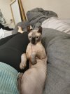 IMG_20201107_200038.jpg