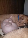 IMG_20201209_221757603.jpg
