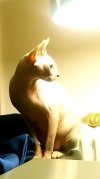 _20210307_215441.JPG