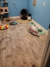 20211204_204921.jpg