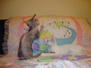 DSC01232.jpg