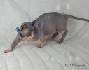 FB_IMG_1652402516203.jpg