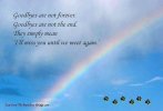 good bye is not forever rainbow helen.jpg