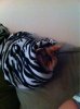 ImageUploadedByTapatalk 21368493355.788184.jpg