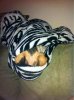 ImageUploadedByTapatalk 21368493391.579381.jpg