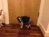 ImageUploadedByTapatalk HD1370261738.683455.jpg ImageUploadedByTapatalk HD1370261738.683455.jpg