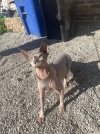 IMG_3306.jpeg