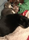IMG_0270.jpeg