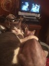 IMG_0160.jpeg