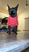 IMG_0675.jpeg