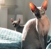 IMG_2414.jpeg