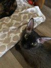 IMG_3464.jpeg