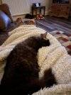 IMG_3395.jpeg