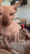 IMG_9481.jpeg