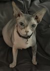 IMG_5532.jpeg