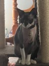IMG_4980.jpeg