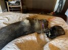 IMG_2686.jpeg