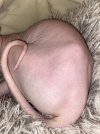 image.jpg