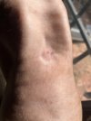 IMG_2567.jpeg