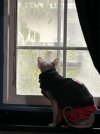 IMG_9737.jpeg