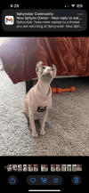 IMG_4391-1ec65c12-3f53-42da-b041-bf781a819979.png