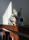 IMG_6280.jpeg