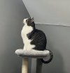 IMG_6256.jpeg