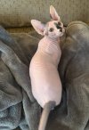 IMG_3444.jpeg