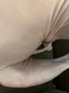 IMG_2126 Small.jpeg