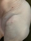 IMG_2129 Small.jpeg