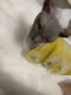IMG_1703.jpeg