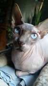 20170830_180557.jpg