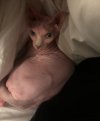 IMG_3065.jpeg