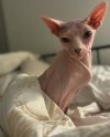 IMG_3066.jpeg