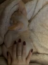 IMG_3068.jpeg