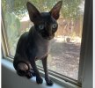 IMG_9365.jpeg