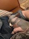 IMG_8723.jpeg