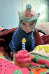 IMG_0799.jpeg