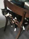 IMG_3012.jpeg