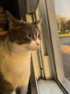 IMG_3013.jpeg
