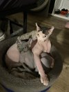 IMG_8084.jpeg