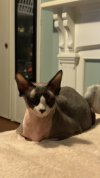 IMG_5073.jpeg