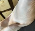 IMG_5701.jpeg