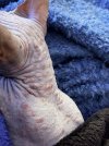 IMG_0762.jpeg