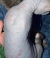 IMG_0760.jpeg