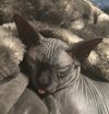 IMG_1129.jpeg