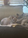 IMG_0127.jpeg