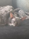 IMG_9812.jpeg
