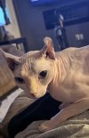 IMG_0478.jpeg
